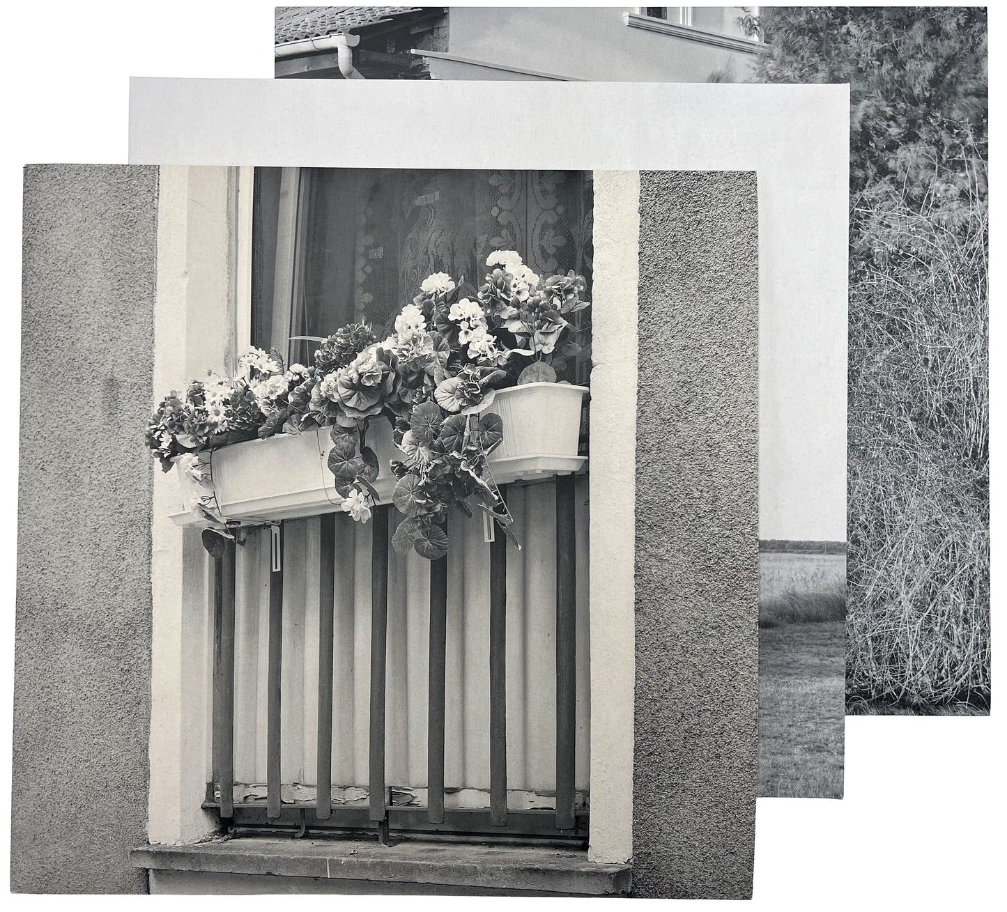 3-LP-Bundle Acker-Haus