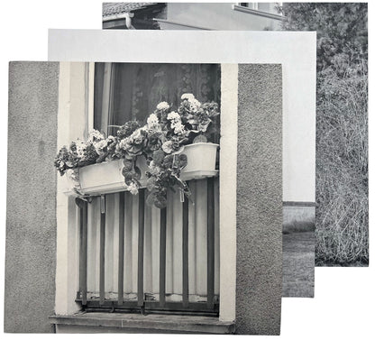 3-LP-Bundle Acker-Haus