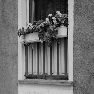 3-LP-Bundle Acker-Haus