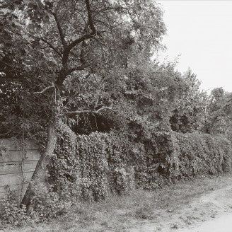 Seth Schwarz E.P. „JABEL“  12" Vinyl